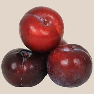 Plum Imported