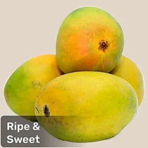 Mango Alphonso