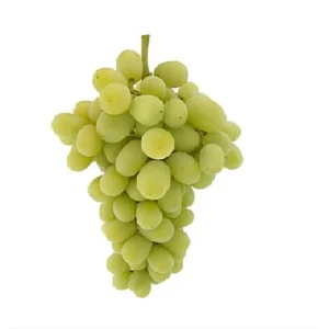 Grapes Imported