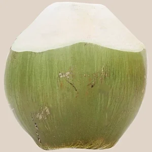 Tender Coconut Large